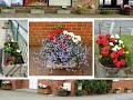 2016 - A Year (almost) in the Life of the Sonning Common Village Gardeners