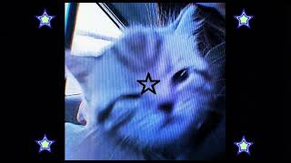 Britney Manson - I’m Sorry My Lovely Boy (Super Slowed + Reverb)