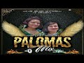 Palomas Mix Vol.1 ⚫ Stan DJ El Salvador - Flow Records Editions