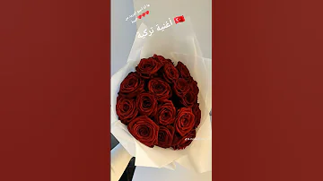 أغنية تركية ما أنا أجمع الورود من الجنة 