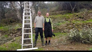 Living off the land on our farm in Central Portugal