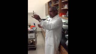 BIO82 Hemocytometer WBC Counting