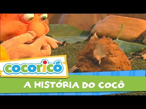 Videoclipe - A história do Cocô