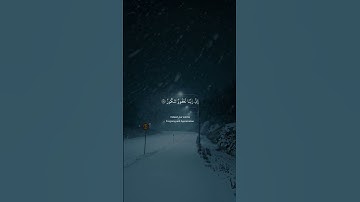 اكتب شيئاً تؤجر عليه - تلاوة خاشعة #quran #قرآن #سورة_فاطر #yasseraldossary