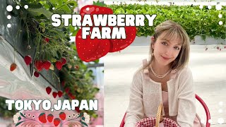 I FINALLY went Strawberry Picking in Japan