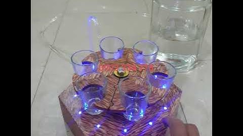 Máy rót rượu 6 ly phiên bản VIP võ gỗ