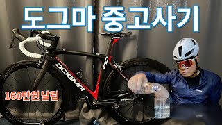 내 도그마F10 짭이라고??