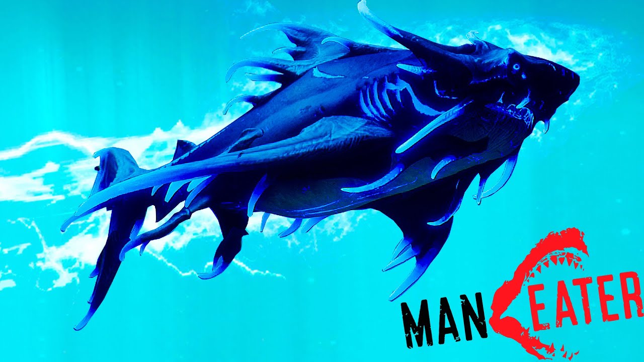 Электро акулы карта