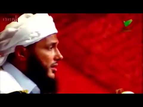 العلامة الددو واحتراق كبد ابو بكر الصديق