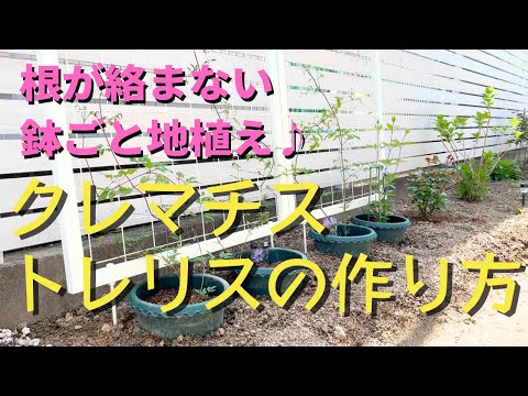 トレリスとは？初心者でもできる活用術：収穫量アップとスペース節約のコツ