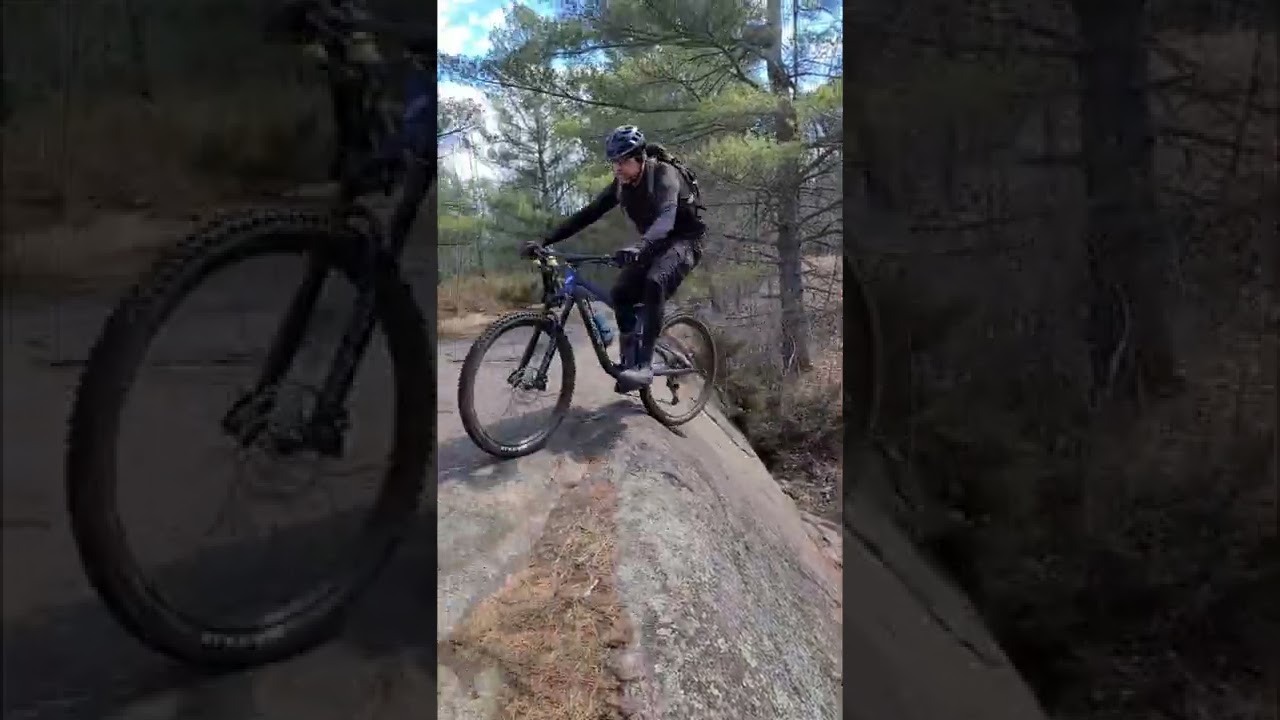 Up Papa Bear - Carp Barrens