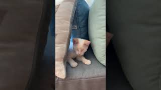 IMG 0123 2