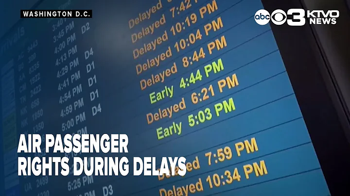 Air passenger rights during delays