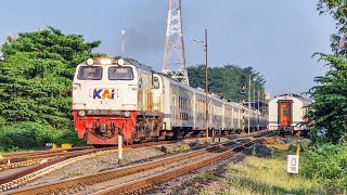 STASIUN DIPADATI KERETA ELIT JALUR UTARA SUPER PANJANG!! Berburu Kereta Api Pagi di Stasiun Lamongan