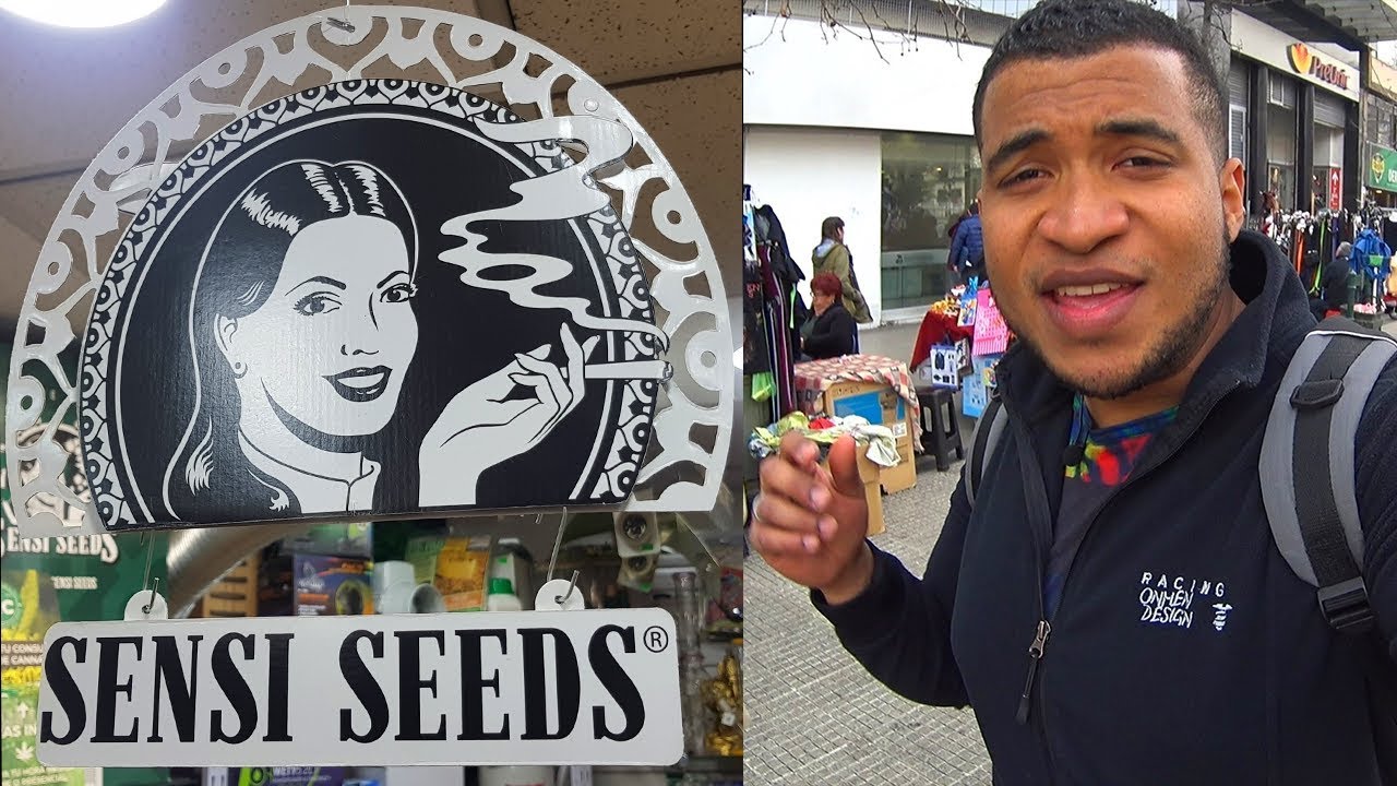 VISITANDO UN MERCADO LEGAL DE HIERBA - CANNABIS