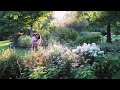 Rosetta McClain Garden in Toronto | A must visit in Toronto