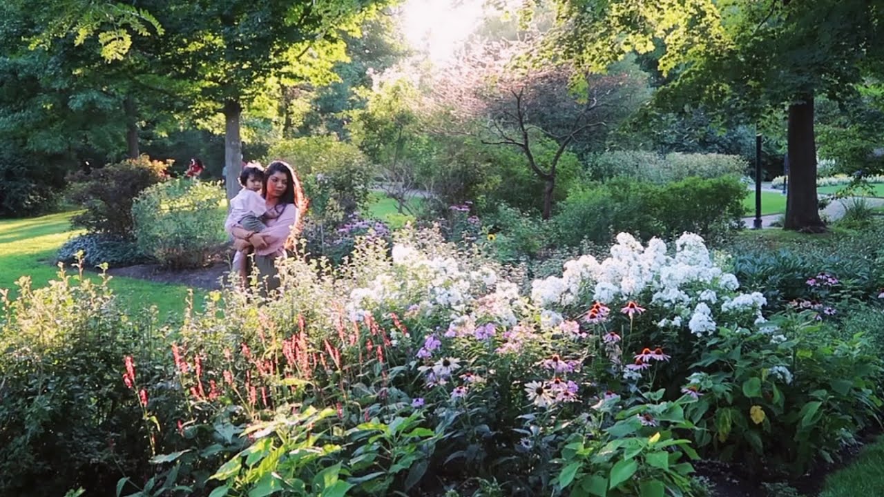 Rosetta McClain Garden in Toronto | A must visit in Toronto