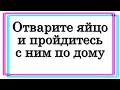 Отварите яйцо и пройдитесь с ним по дому