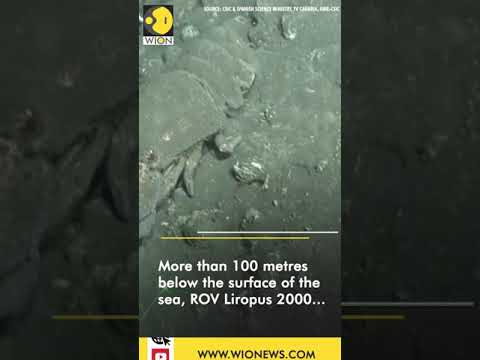 Undersea Robot Investigates Impact Of Lava On Marine Ecosystem In Spain Youtube