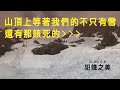 夏日滑雪有愛有恨｜ft 滑雪大学魯法師～是時候該把雪板收起來了～