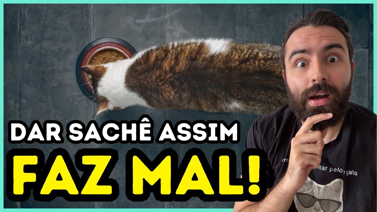 Dar Sachê ASSIM Para Um Gato Causa DIARREIA E VÔMITO Nele!