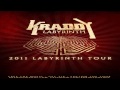 Kraddy-Android Orn