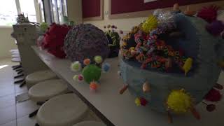 Dr. İlhami̇ Tankut Anadolu Li̇sesi̇ Tanitim Vi̇deosu