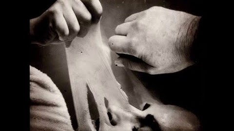 3. POLICAJAC SE PRESVLAČI ( Disrobing 0001)