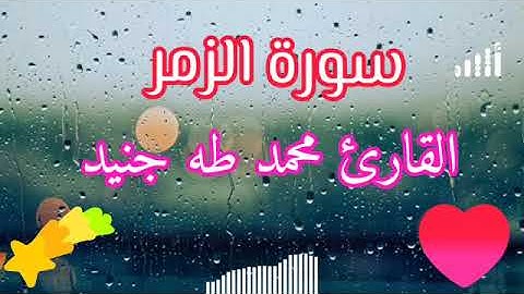 سورة الزمر/ القارئ محمد طه الجنيد