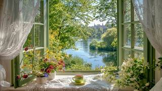 Soft Melodies for Daydreams | A calm piano playlist for living a quiet life | Study Reading screenshot 2