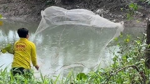 Chài Cá Sông Trúng Đàn Cá Giờ Hiếm Thấy Ở Quê - TT2316