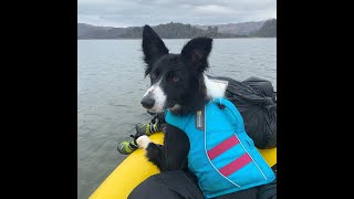Packrafting with your Dog