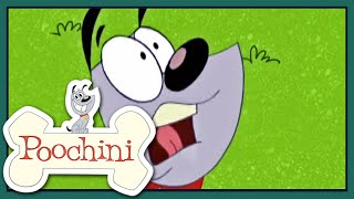 Poochini Capítulo 7-9