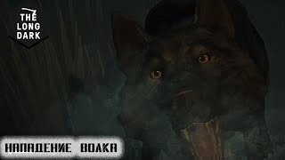 TheLongDark  Нападение волка #3