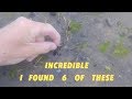 Underwater Searching Million Dollar Resort, Found many Rings (Metal Detecting Legally)