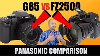 Panasonic FZ2500 vs Panasonic G85 with Test Video Footage
