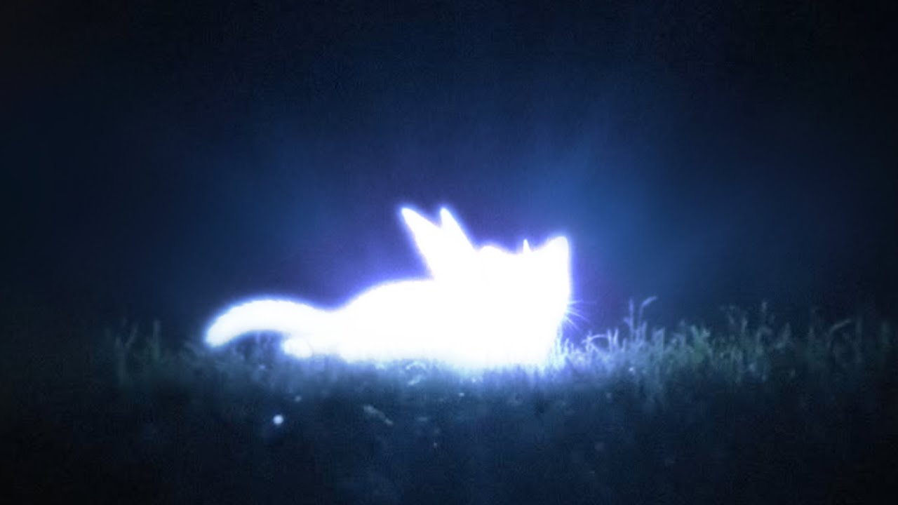 ILLIT – bamsopoong (Official Instrumental)