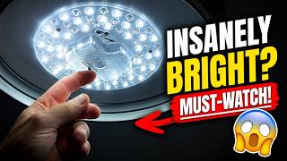 If you need super bright lights are these the ones?