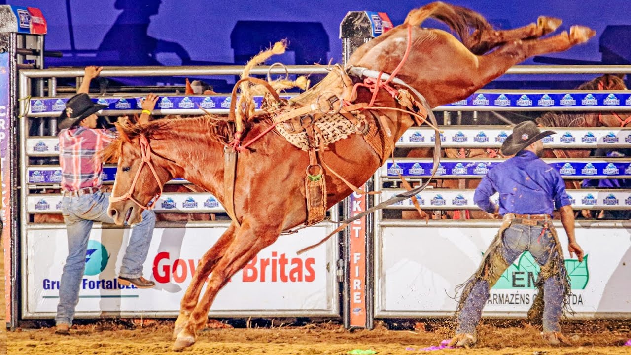 FINAL EM CUTIANO - Rodeio da Expo Agro GOIATUBA 2024 (Oficial 4K)