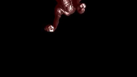 Handstanding: Automatic Preview Generation for Mesh Sequences