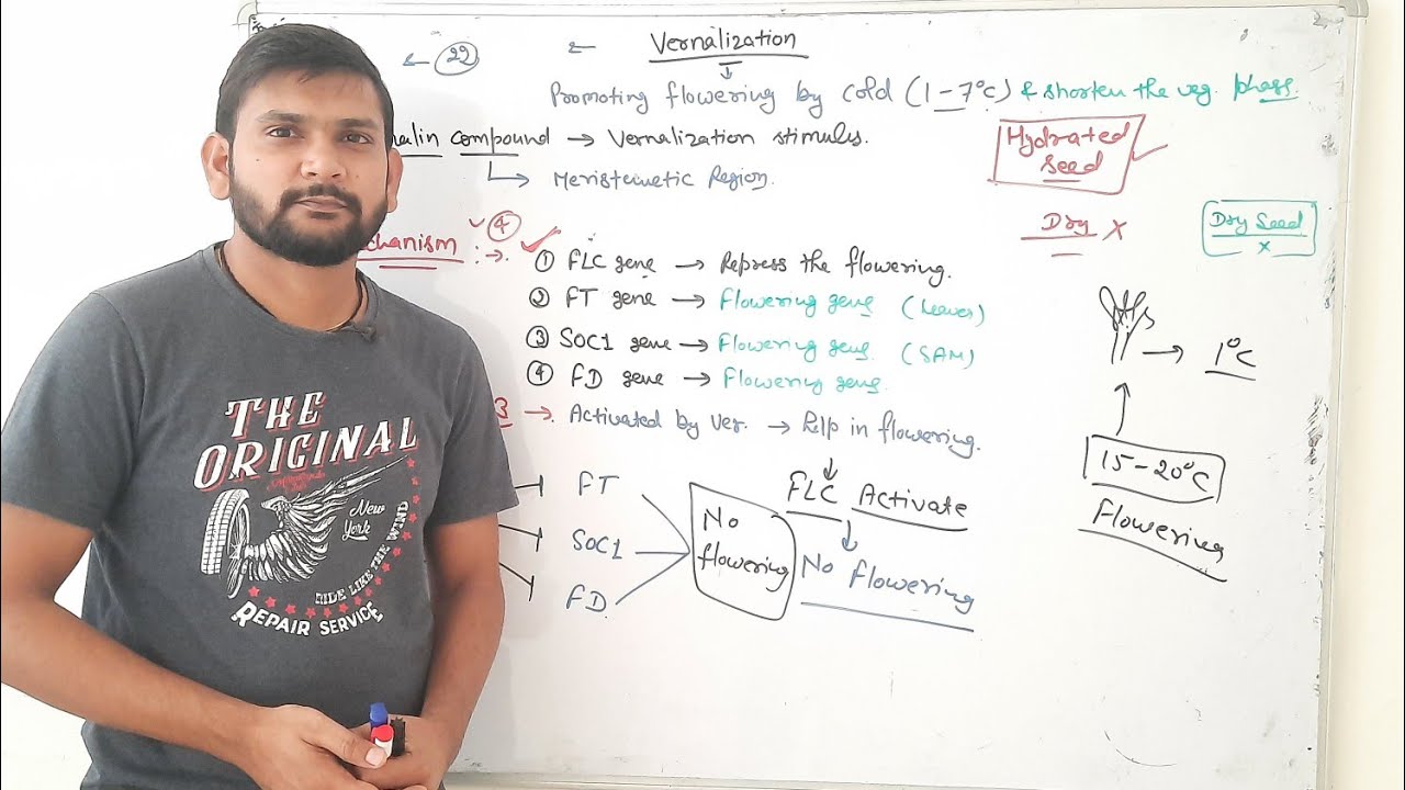 Vernalization (Plant Physiology)|CSIR NET|