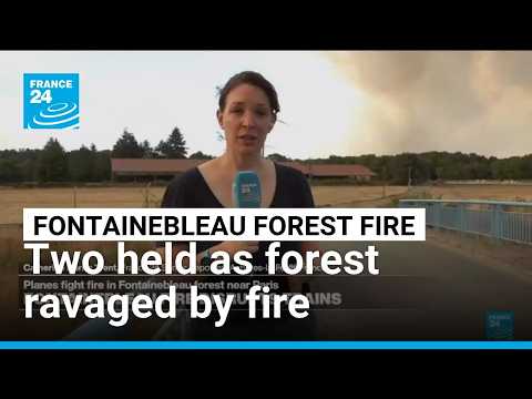 Two arrested as Fontainebleau forest near Paris ravaged by fire, prompting evacuations • FRANCE 24