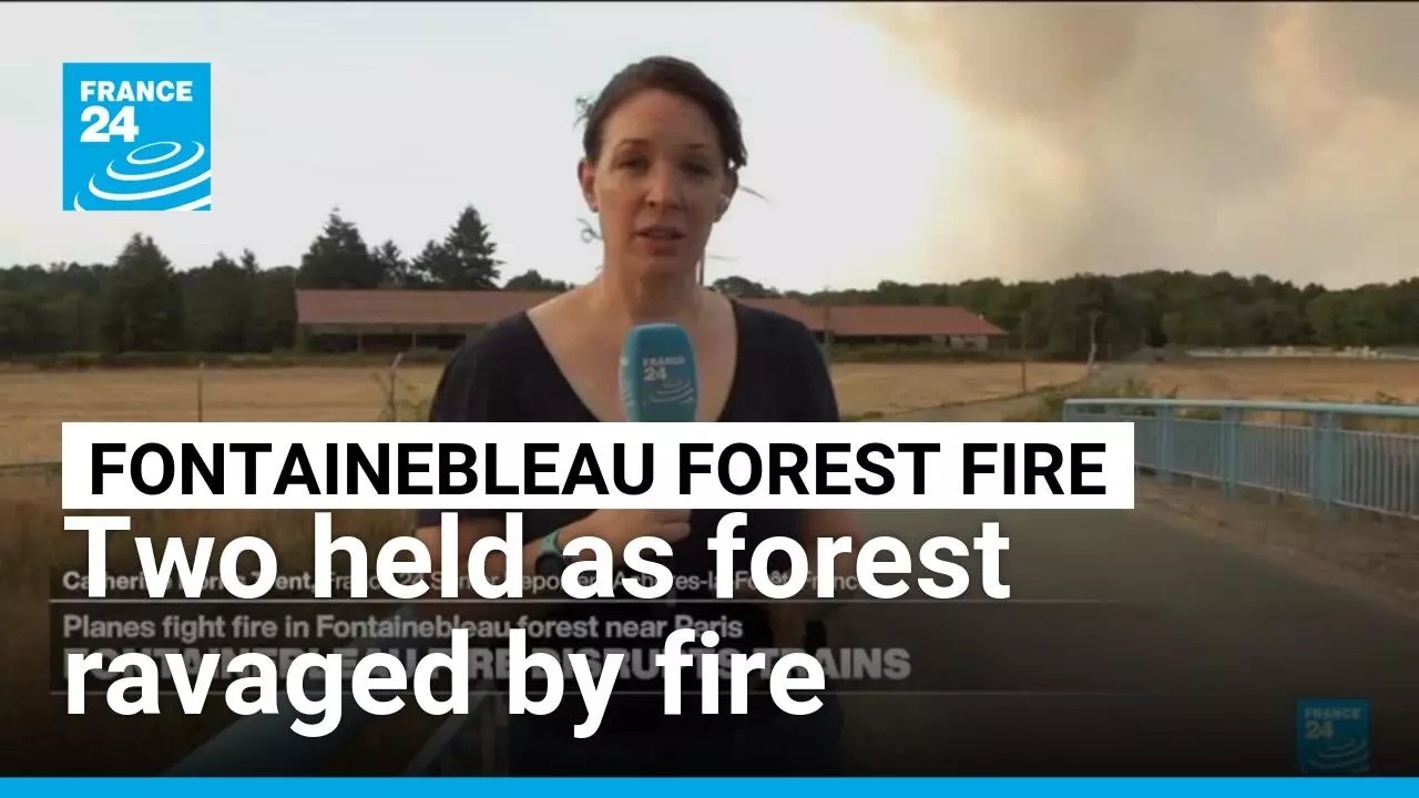 Two arrested as Fontainebleau forest near Paris ravaged by fire, prompting evacuations • FRANCE 24