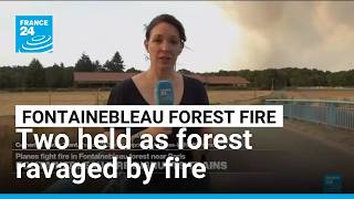 Two arrested as Fontainebleau forest near Paris ravaged by fire, prompting evacuations • FRANCE 24