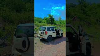 coll india