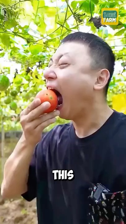 Why can't this type of melon be eaten? #melonseeds #shorts