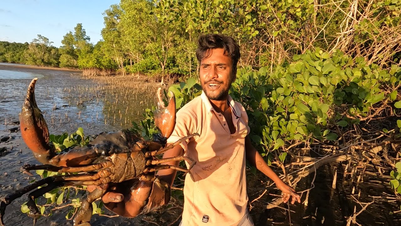 সুমদ্রের পাড়ের কাকড়া মানেই বড়ো বড়ো কাকড়া @ANDAMAN_HUNTERS 