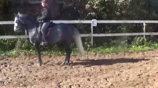 Качели. .Seesaw exercize Schooling dressage. Kizimov school of riding.