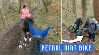 Woodland Hack Got Interesting Go Pro 7 Pov Equineash