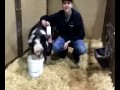 Coweta, Porter FFA and 4H at Muskogee Regional and OYE